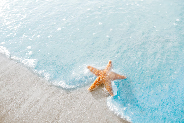SOMMAR by OOMAi